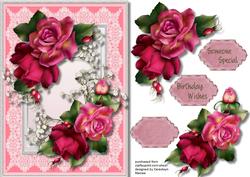 Beautiful Vibrance Roses and Babys Breath
