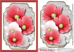 Beautiful Poppies on a Silver Mat