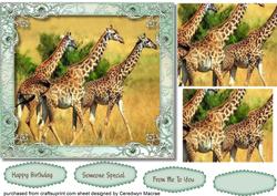 Lovely Giraffes in the Wild