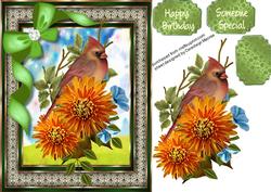 Beautiful Female Cardinal with Chrysanthamums