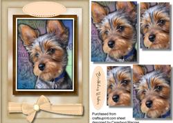 Beautiful Yorkshire Terrier Pup , Pyramid