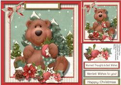 Lovely Bear at Christmas Thicket