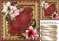 Beautiful Amaryllis on Gold and Wine