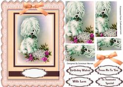 Lovely Little Pup in Peach