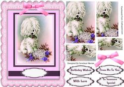 Lovely Little Pup in Pink