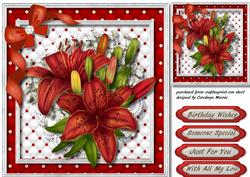 Beautiful Red Cullies on Lace