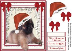 Lovely Pequinese in His Christmas Hat