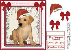 Lovely Lab Pup in His Christmas Hat