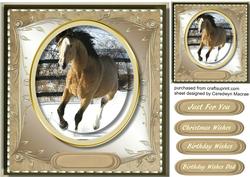Christmas or Birthday , Galloping in the Snow