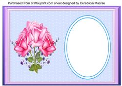 Incert,blue Floral, 6