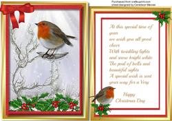 Beautiful Robin on the Drinking Bath ,with Verse .