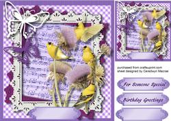 Lovely Finches on Thistles