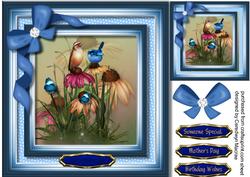 Beautiful Birds on Cone Flowers