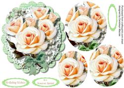 Beautiful Crean Roses in Pyramids