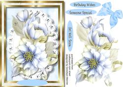 Lovely Blue and Cream Hellebore 