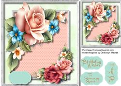 Beautiful Summer Roses