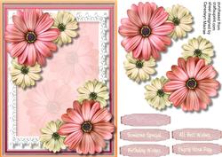 A5 Beautiful Daisy's on Lace