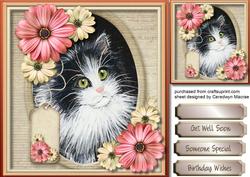 Lovely Kitty in a Oval Frame