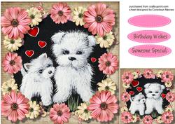 Beautiful Wesiies and Daisy's
