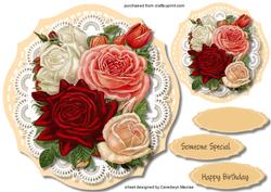 Beautiful Roses in a Stitched Frame 