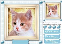 Lovely Ginger Kitty on a Blue Board 
