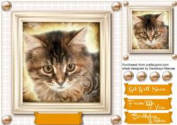 Lovely Tabby Kitty on a Beige Board 