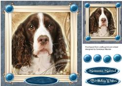 Lovely Spaniel in a Gold Frame