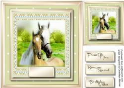Beautiful Horses Ina Gold Frame 