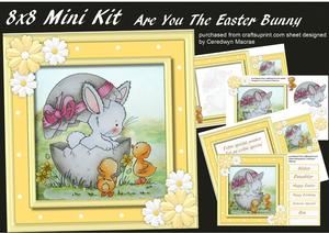 8x8 Mini Kit , Are You the Easter Bunny