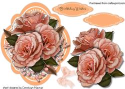 Apricot Roses on a Quadrefoil Mat 