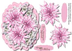 Beautiful Pink Star Flowers and Blossoms
