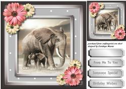 Mother's Gentle Touch