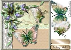 Lovely Butterfly's and Lillie's ,3