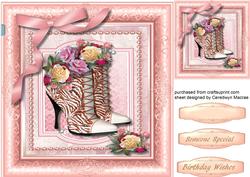 Beautiful Boots in a Pink Frame