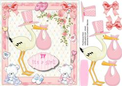 The Stork Has Arrived, It's a Girl