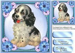 Lovely Cavelire Spaniel Pup