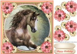 Beautiful Stallion and Daisy's 