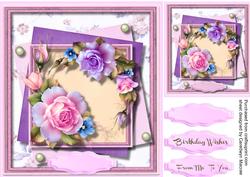 Beautiful Roses for Any Occasion
