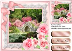 Beautiful Pink Roses on a Lace Frame 