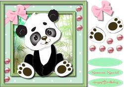 Adorable Pand in the Bamboo