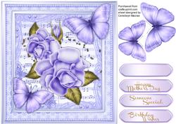 Breautiful Lilac Delight