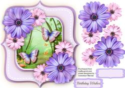 Beautiful Lilac and Pink Daisy and Butterfly's