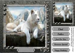 Beautiful White Tigers at Rest