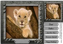 Beautiful Lion Cub