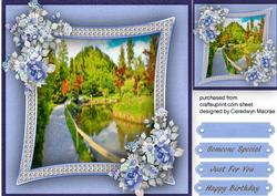 Lovely Blue Flowers and Scene
