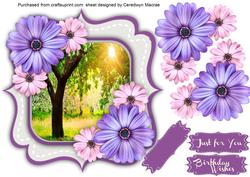 Beautiful Double Bracket and Daisy's