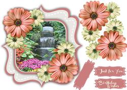Beautiful Double Bracket and Daisy's 2