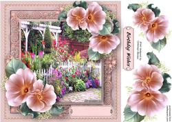 Beautiful Roses and Garden
