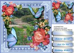 Beautiful Roses and Blue Butterfly's