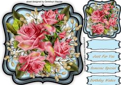 Beautiful Roses and Double Bracket